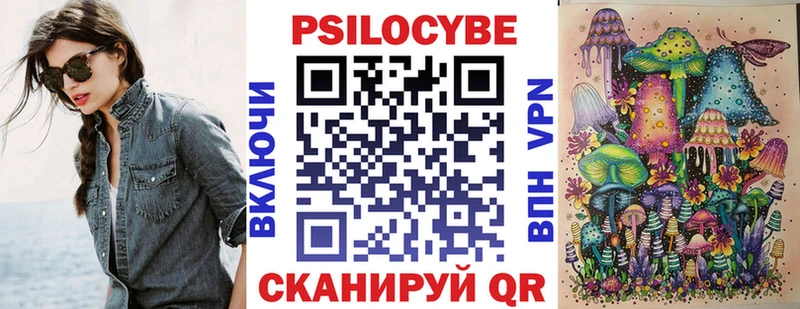 дарнет шоп  Тихорецк  Псилоцибиновые грибы MAGIC MUSHROOMS 