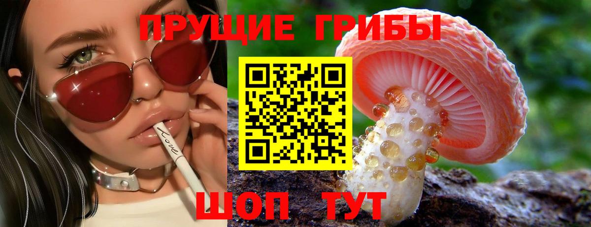 Галлюциногенные грибы MAGIC MUSHROOMS  Вход с VPN  Тихорецк 